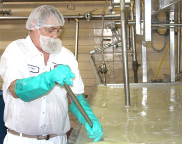 Employee, Doc, making cottage cheese at the Westby Cooperative Creamery.