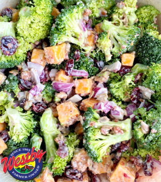 Broccoli Salad with Westby cheddar and sour cream