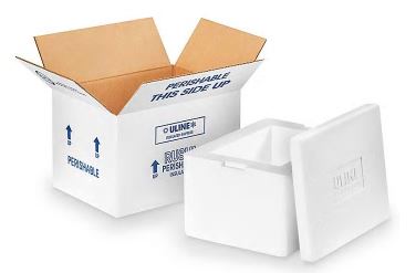 Insulated Foam Shipper w/ Frozen Gel Packs