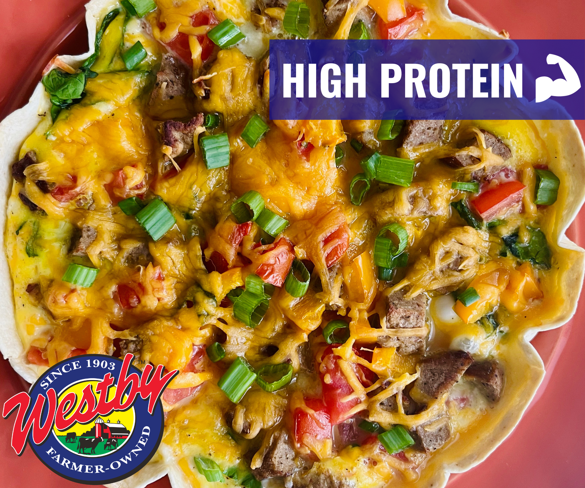 Protein Power Breakfast Pizza