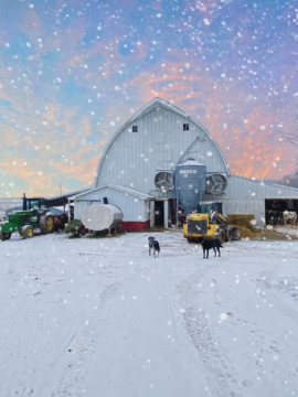 Welcome to winter on the farm!