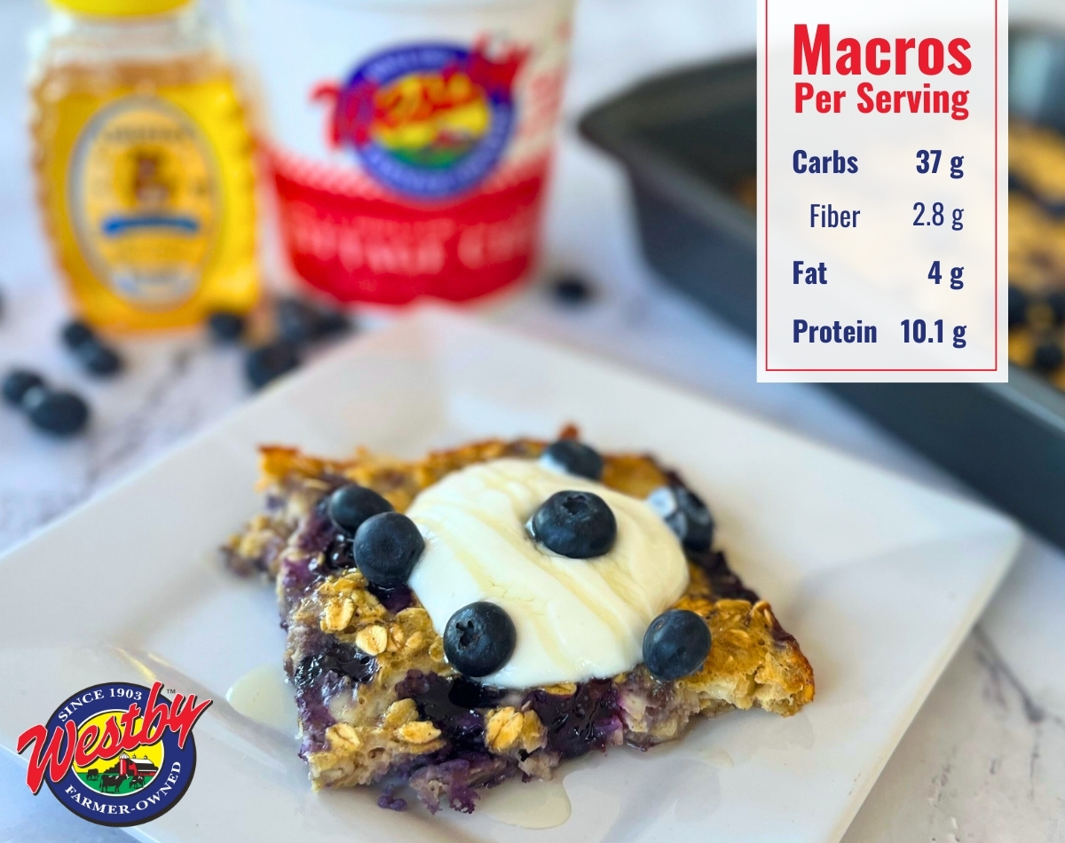 Blueberry Cottage Cheese Breakfast Bake