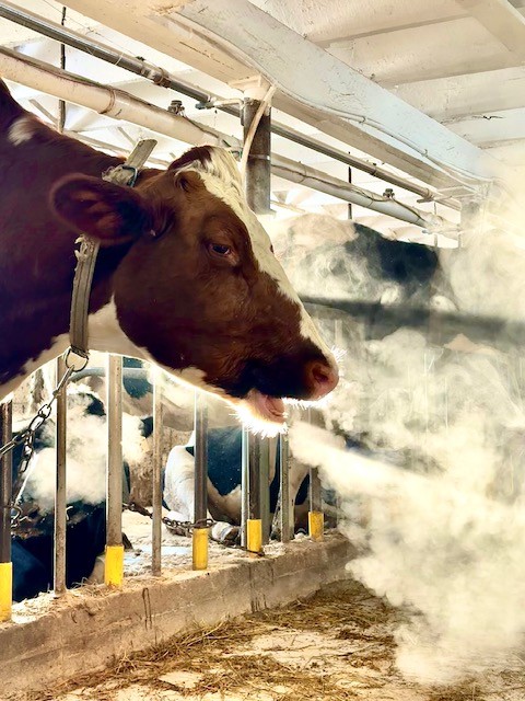 High Grove Farm Journal – February 2026