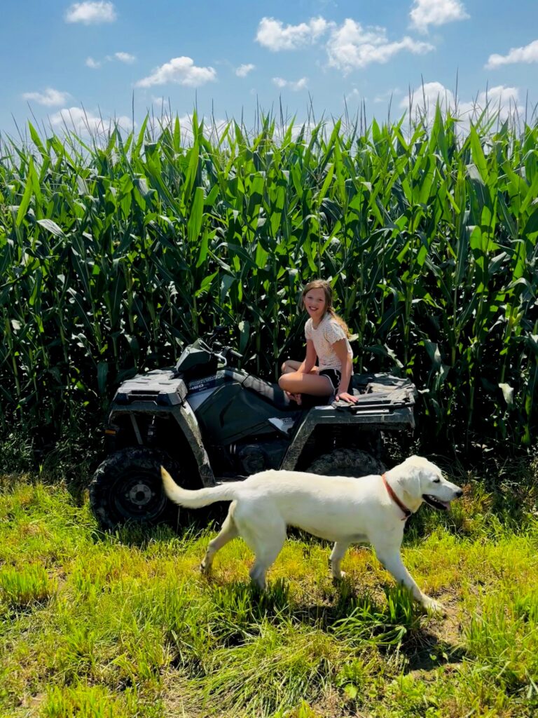 A girl sits on an ATV beside a tall cornfield while a white farm dog walks through the grass at High Grove Farm in Soldiers Grove, Wisconsin. Featured Image