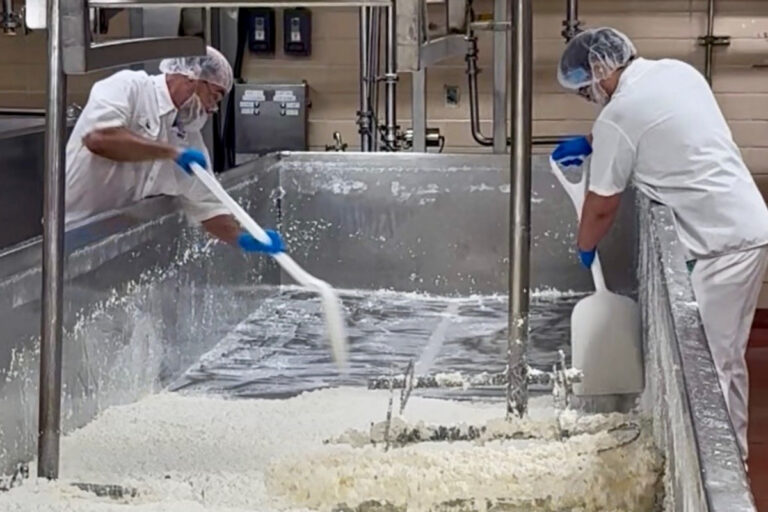 Two Westby Creamery cottage cheesemakers at the manufacturing plant in Westby, Wisconsin. Featured Image